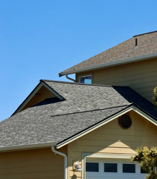 Best Storm Damage Roof Repair  in David City, NE